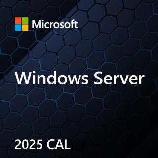 Microsoft OEM Win Svr CAL 2025 User ENG 5Clt       EP2-25279